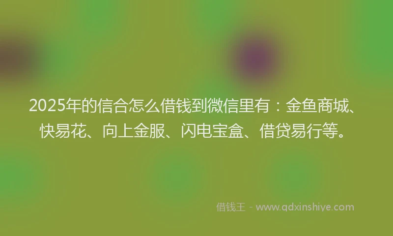 2025年的信合怎么借钱到微信里有：金鱼商城、快易花、向上金服、闪电宝盒、借贷易行等。