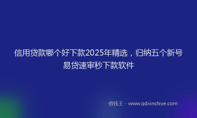 信用贷款哪个好下款2025年精选，归纳五个新号易贷速审秒下款软件