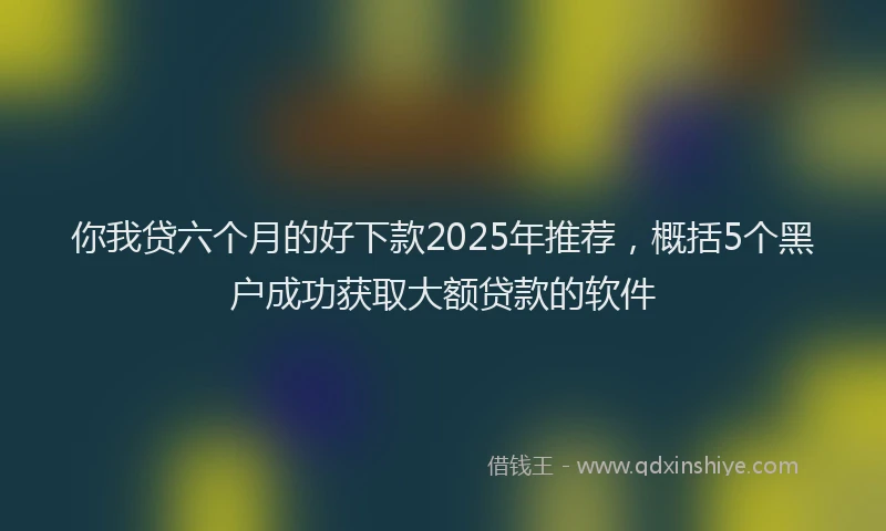 你我贷六个月的好下款2025年推荐，概括5个黑户成功获取大额贷款的软件