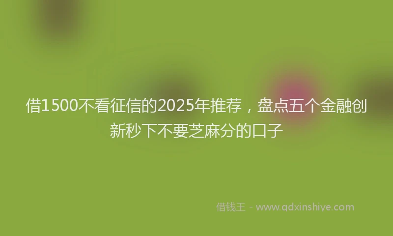 借1500不看征信的2025年推荐，盘点五个金融创新秒下不要芝麻分的口子