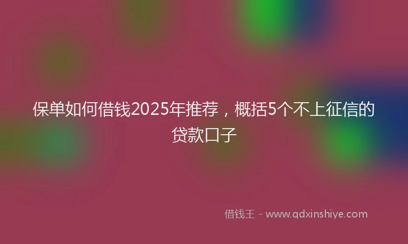 保单如何借钱2025年推荐，概括5个不上征信的贷款口子