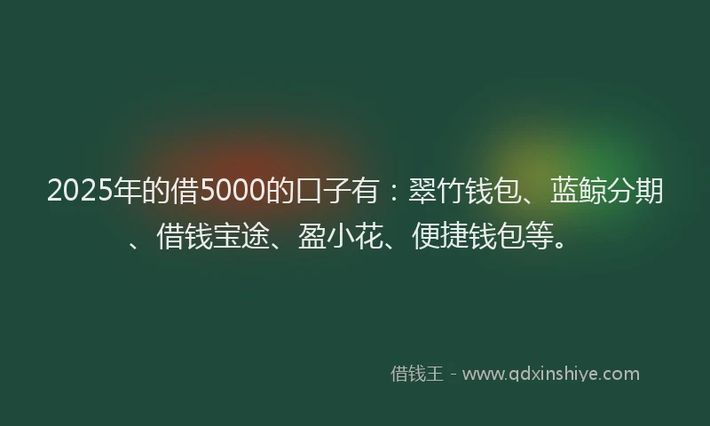 2025年的借5000的口子有：翠竹钱包、蓝鲸分期、借钱宝途、盈小花、便捷钱包等。
