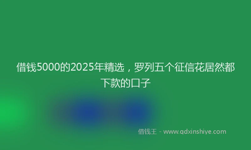 借钱5000的2025年精选，罗列五个征信花居然都下款的口子