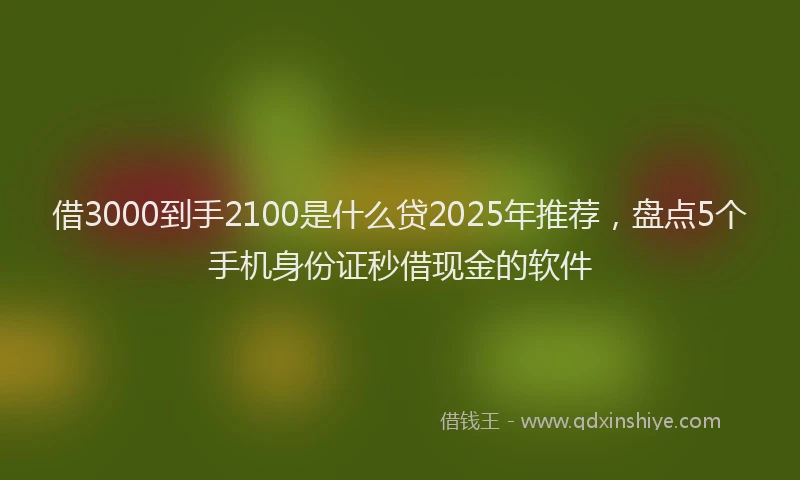 借3000到手2100是什么贷2025年推荐，盘点5个手机身份证秒借现金的软件