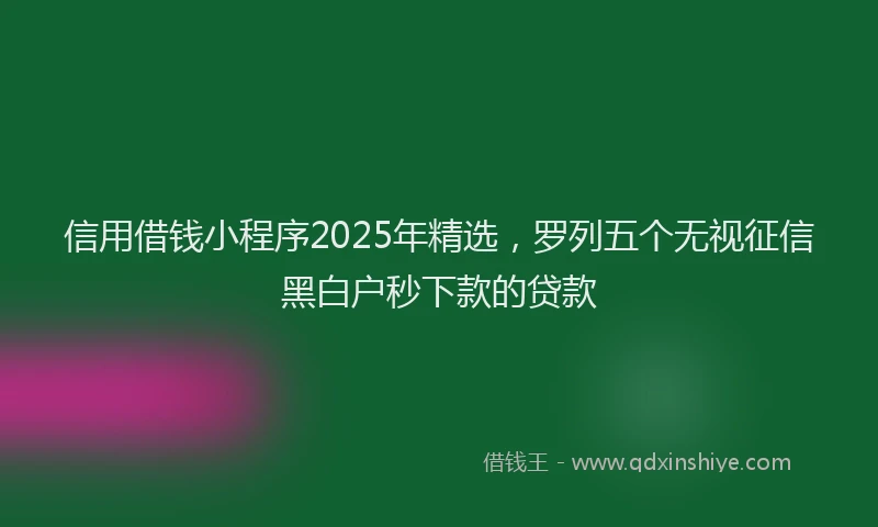 信用借钱小程序2025年精选，罗列五个无视征信黑白户秒下款的贷款