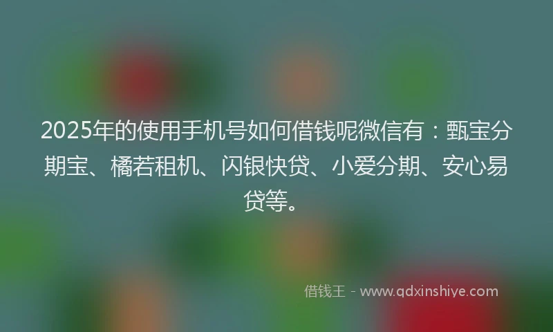 2025年的使用手机号如何借钱呢微信有：甄宝分期宝、橘若租机、闪银快贷、小爱分期、安心易贷等。