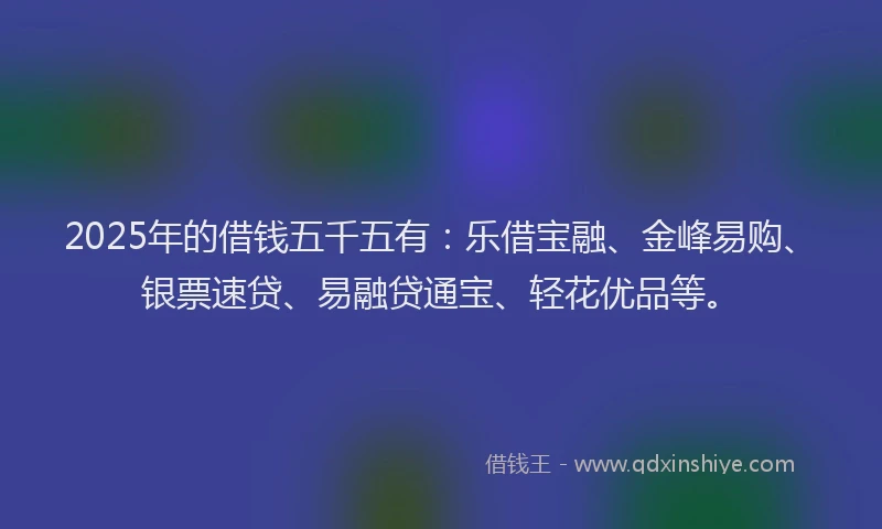 2025年的借钱五千五有：乐借宝融、金峰易购、银票速贷、易融贷通宝、轻花优品等。