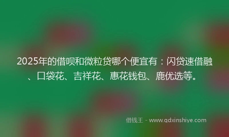 2025年的借呗和微粒贷哪个便宜有：闪贷速借融、口袋花、吉祥花、惠花钱包、鹿优选等。