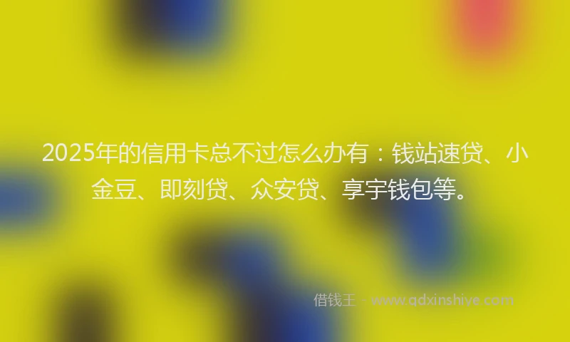 2025年的信用卡总不过怎么办有：钱站速贷、小金豆、即刻贷、众安贷、享宇钱包等。