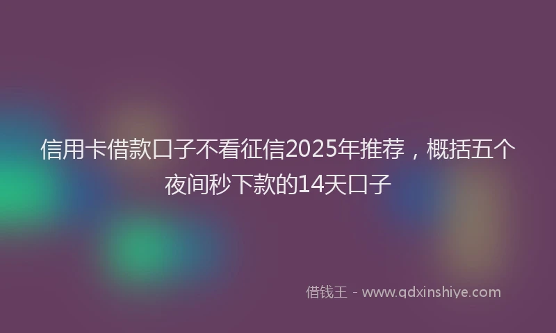 信用卡借款口子不看征信2025年推荐，概括五个夜间秒下款的14天口子