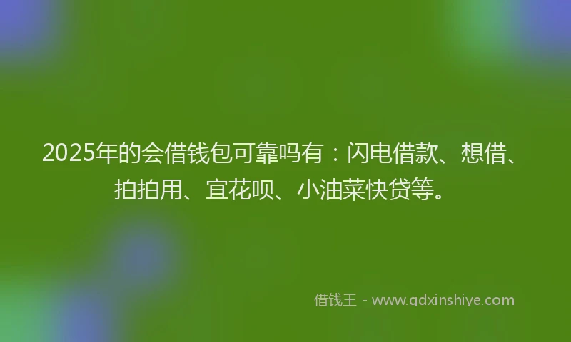 2025年的会借钱包可靠吗有：闪电借款、想借、拍拍用、宜花呗、小油菜快贷等。
