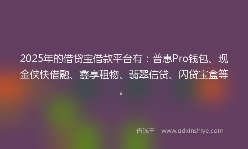 2025年的借贷宝借款平台有：普惠Pro钱包、现金侠快借融、鑫享租物、翡翠信贷、闪贷宝盒等。