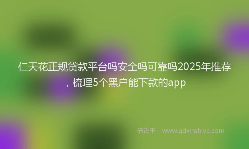 仁天花正规贷款平台吗安全吗可靠吗2025年推荐，梳理5个黑户能下款的app