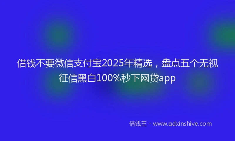 借钱不要微信支付宝2025年精选，盘点五个无视征信黑白100%秒下网贷app