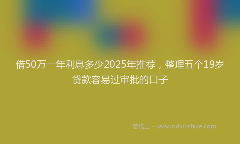 借50万一年利息多少2025年推荐，整理五个19岁贷款容易过审批的口子
