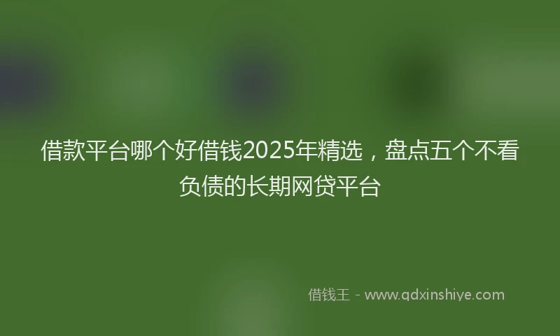 借款平台哪个好借钱2025年精选，盘点五个不看负债的长期网贷平台