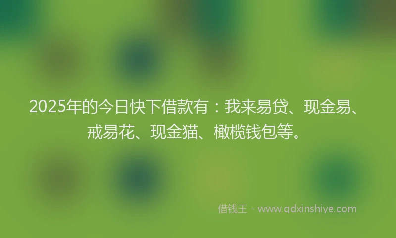 2025年的今日快下借款有：我来易贷、现金易、戒易花、现金猫、橄榄钱包等。