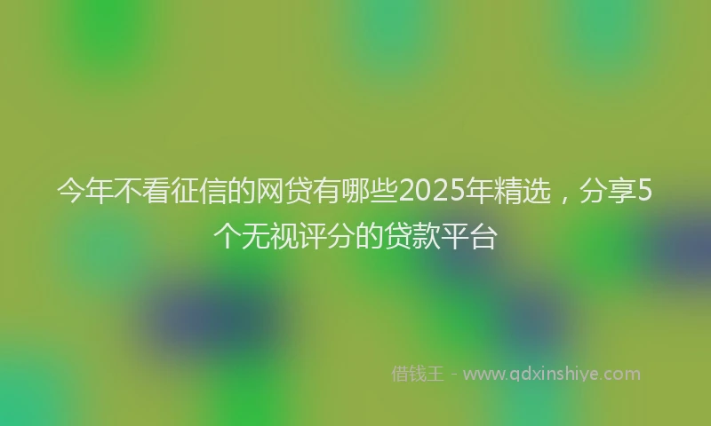 今年不看征信的网贷有哪些2025年精选，分享5个无视评分的贷款平台