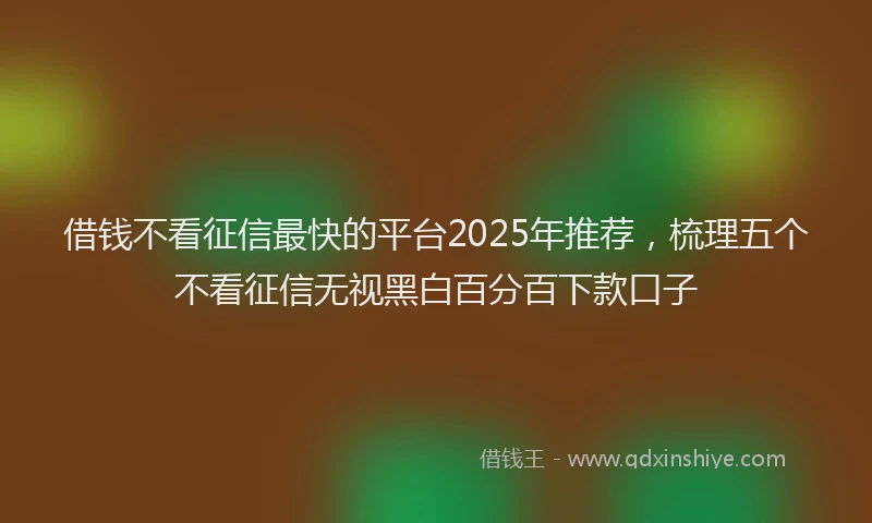 借钱不看征信最快的平台2025年推荐，梳理五个不看征信无视黑白百分百下款口子