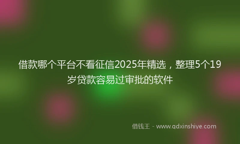 借款哪个平台不看征信2025年精选，整理5个19岁贷款容易过审批的软件