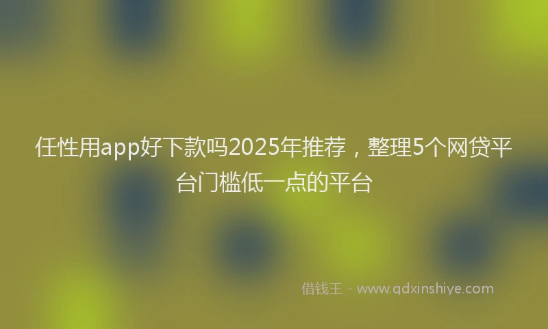 任性用app好下款吗2025年推荐，整理5个网贷平台门槛低一点的平台