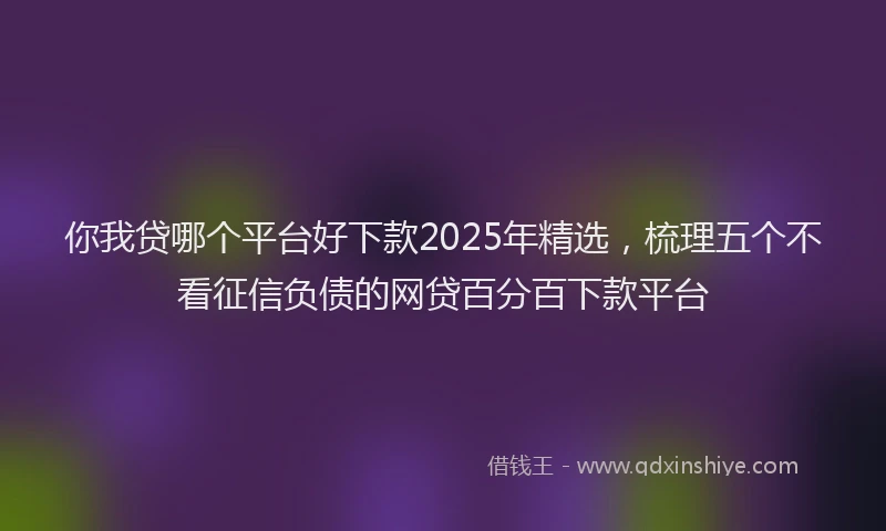 你我贷哪个平台好下款2025年精选，梳理五个不看征信负债的网贷百分百下款平台