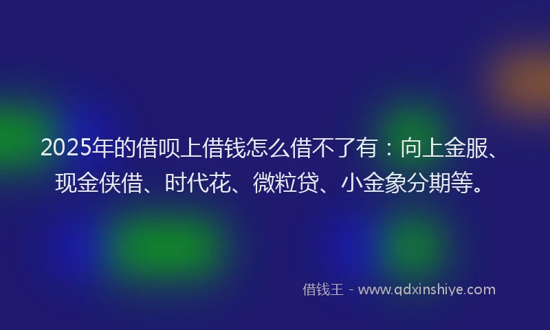 2025年的借呗上借钱怎么借不了有：向上金服、现金侠借、时代花、微粒贷、小金象分期等。