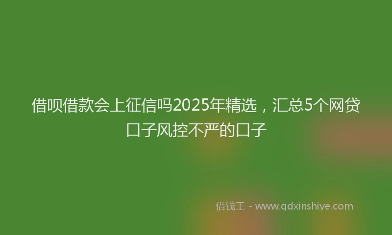 借呗借款会上征信吗2025年精选，汇总5个网贷口子风控不严的口子