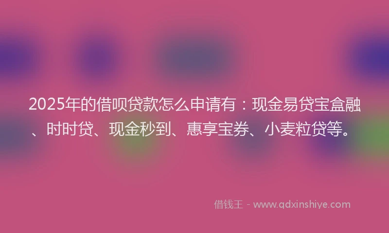 2025年的借呗贷款怎么申请有：现金易贷宝盒融、时时贷、现金秒到、惠享宝券、小麦粒贷等。