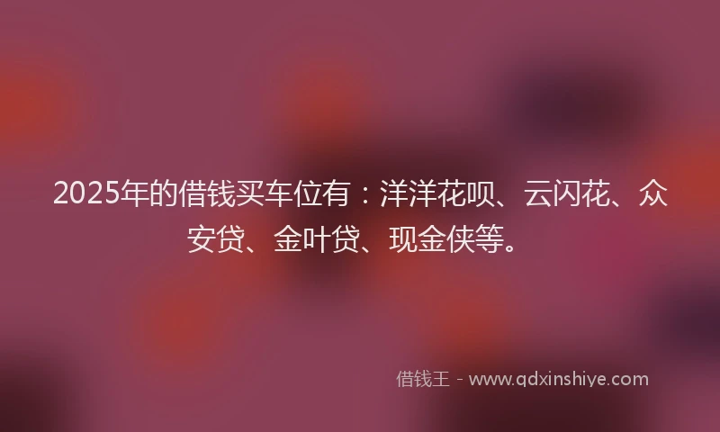2025年的借钱买车位有：洋洋花呗、云闪花、众安贷、金叶贷、现金侠等。