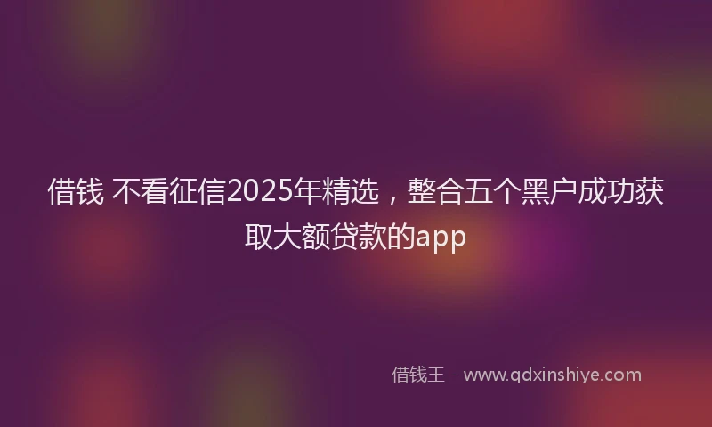 借钱 不看征信2025年精选，整合五个黑户成功获取大额贷款的app