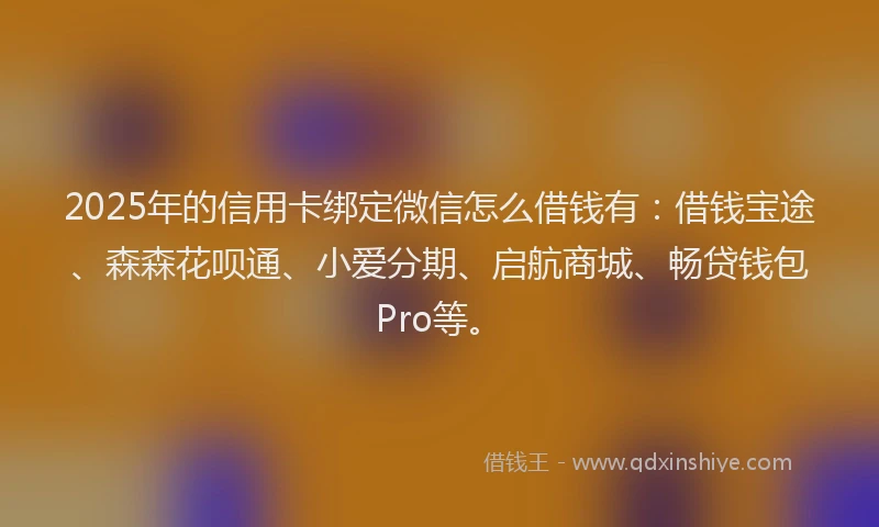 2025年的信用卡绑定微信怎么借钱有：借钱宝途、森森花呗通、小爱分期、启航商城、畅贷钱包Pro等。