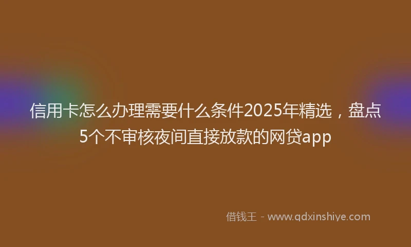信用卡怎么办理需要什么条件2025年精选，盘点5个不审核夜间直接放款的网贷app