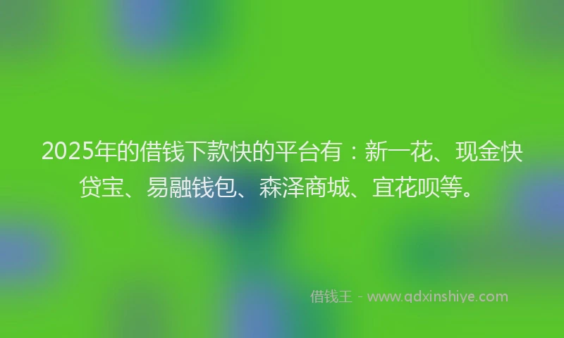 2025年的借钱下款快的平台有：新一花、现金快贷宝、易融钱包、森泽商城、宜花呗等。