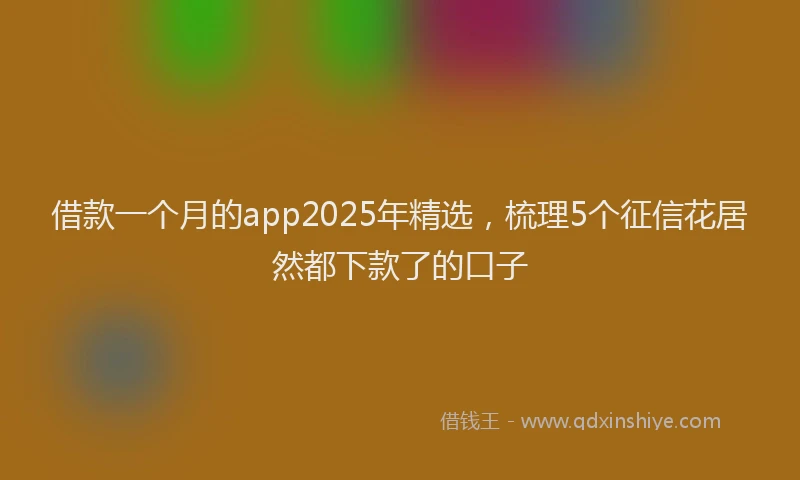 借款一个月的app2025年精选，梳理5个征信花居然都下款了的口子