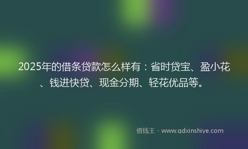 2025年的借条贷款怎么样有：省时贷宝、盈小花、钱进快贷、现金分期、轻花优品等。