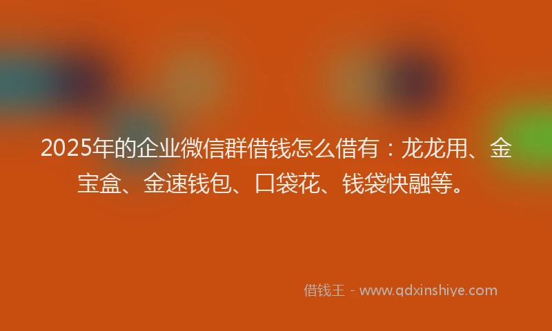 2025年的企业微信群借钱怎么借有：龙龙用、金宝盒、金速钱包、口袋花、钱袋快融等。