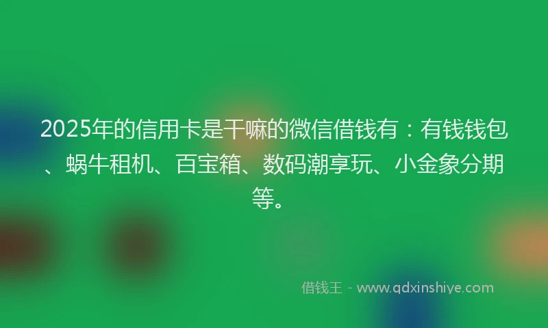 2025年的信用卡是干嘛的微信借钱有：有钱钱包、蜗牛租机、百宝箱、数码潮享玩、小金象分期等。