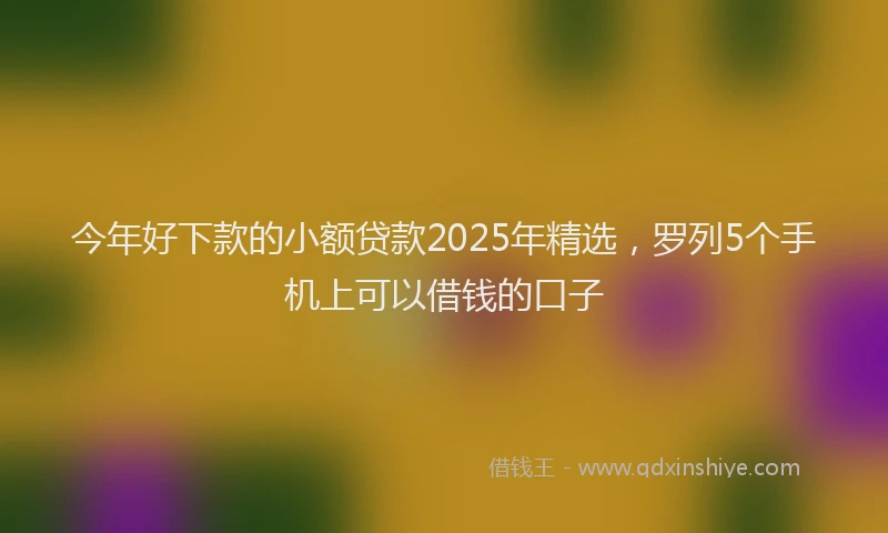 今年好下款的小额贷款2025年精选，罗列5个手机上可以借钱的口子