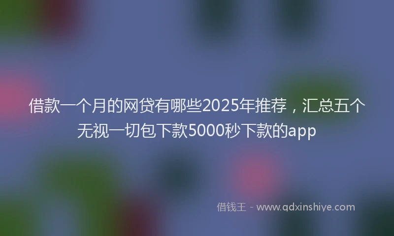 借款一个月的网贷有哪些2025年推荐，汇总五个无视一切包下款5000秒下款的app