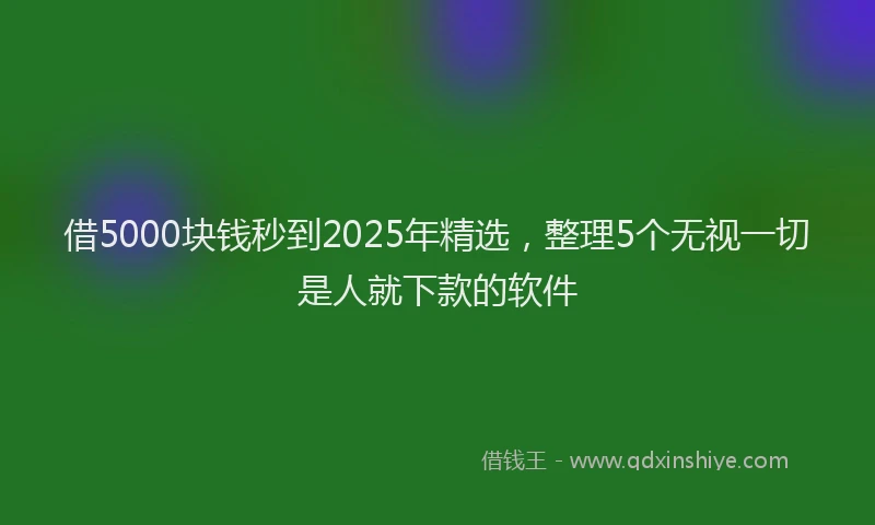 借5000块钱秒到2025年精选，整理5个无视一切是人就下款的软件