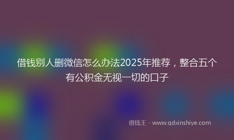 借钱别人删微信怎么办法2025年推荐，整合五个有公积金无视一切的口子