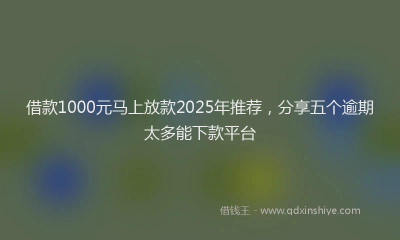 借款1000元马上放款2025年推荐，分享五个逾期太多能下款平台