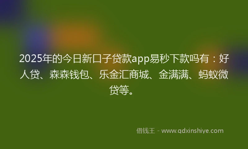 2025年的今日新口子贷款app易秒下款吗有：好人贷、森森钱包、乐金汇商城、金满满、蚂蚁微贷等。