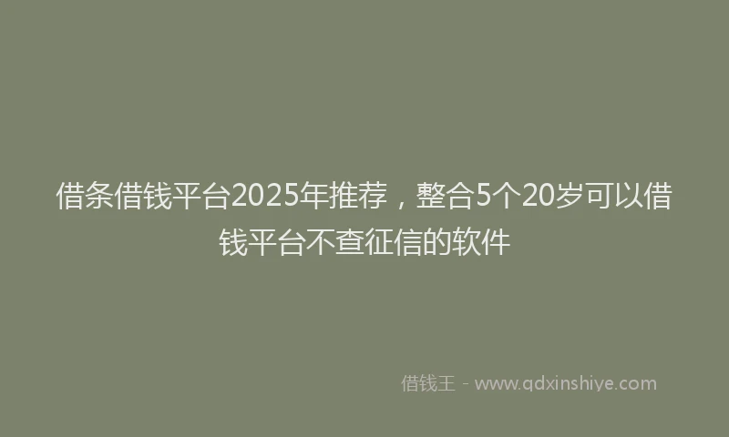 借条借钱平台2025年推荐，整合5个20岁可以借钱平台不查征信的软件
