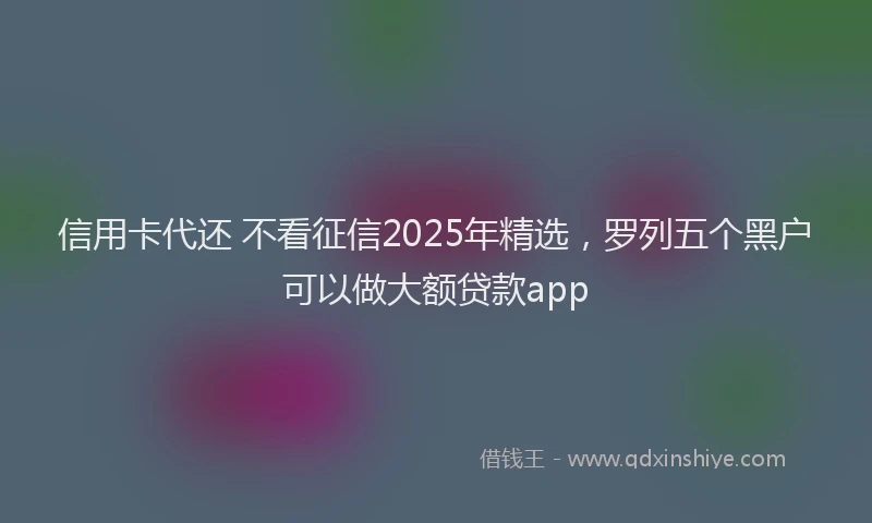 信用卡代还 不看征信2025年精选，罗列五个黑户可以做大额贷款app