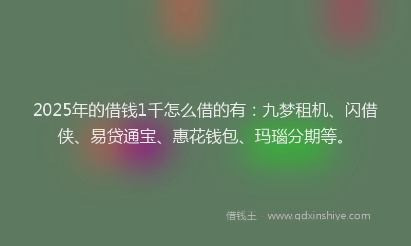 2025年的借钱1千怎么借的有：九梦租机、闪借侠、易贷通宝、惠花钱包、玛瑙分期等。