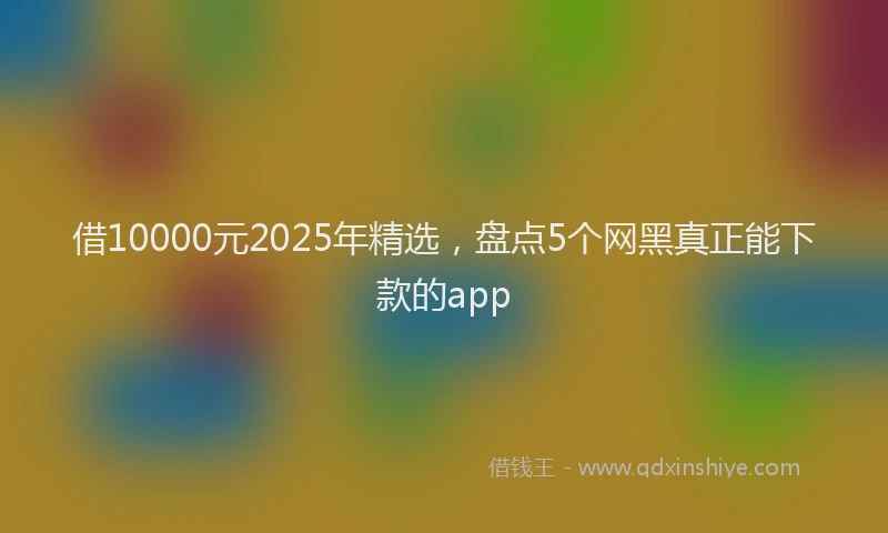 借10000元2025年精选，盘点5个网黑真正能下款的app