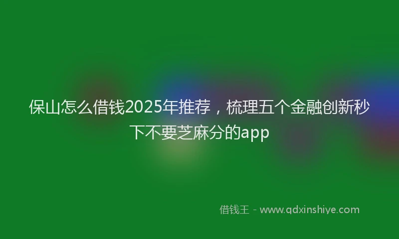 保山怎么借钱2025年推荐，梳理五个金融创新秒下不要芝麻分的app
