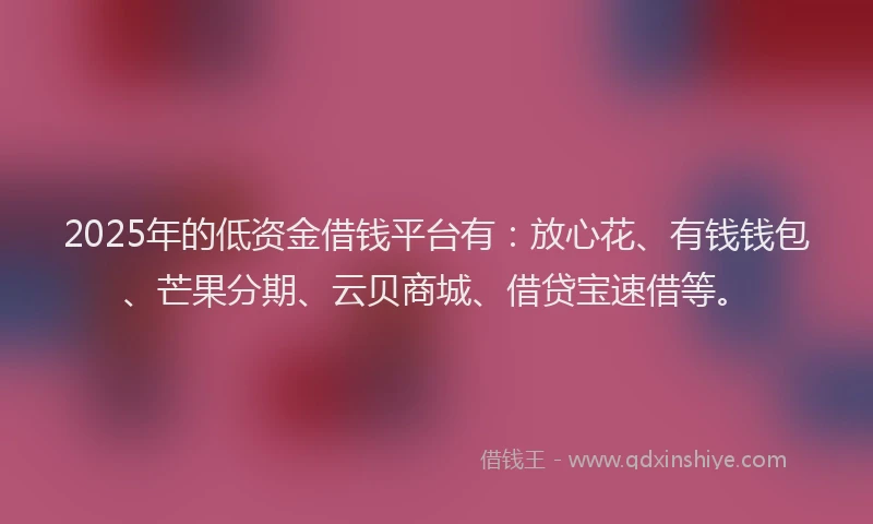 2025年的低资金借钱平台有：放心花、有钱钱包、芒果分期、云贝商城、借贷宝速借等。